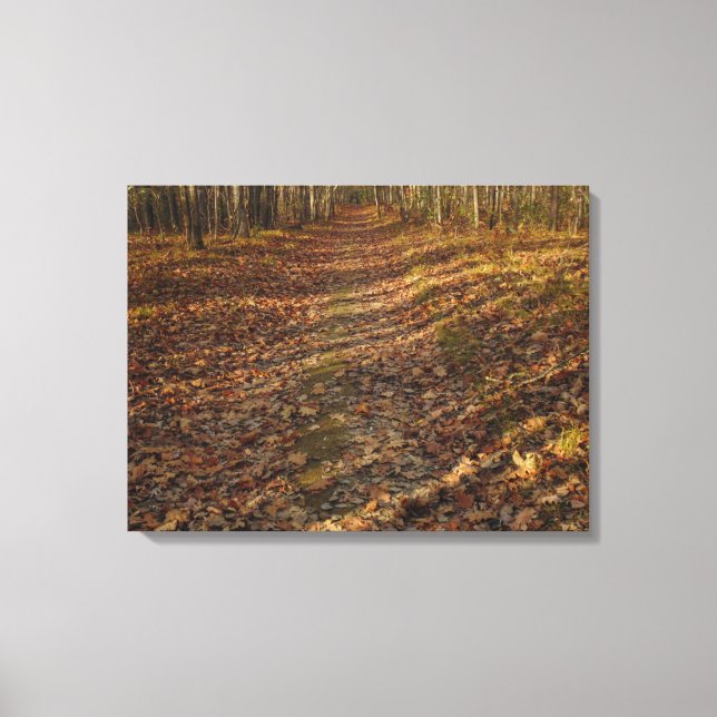 Impressão Em Tela Folhas de outono (Frente)