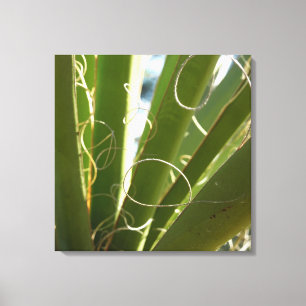 Impressão Em Tela Folhas de Yucca Fotografia Verde da Natureza