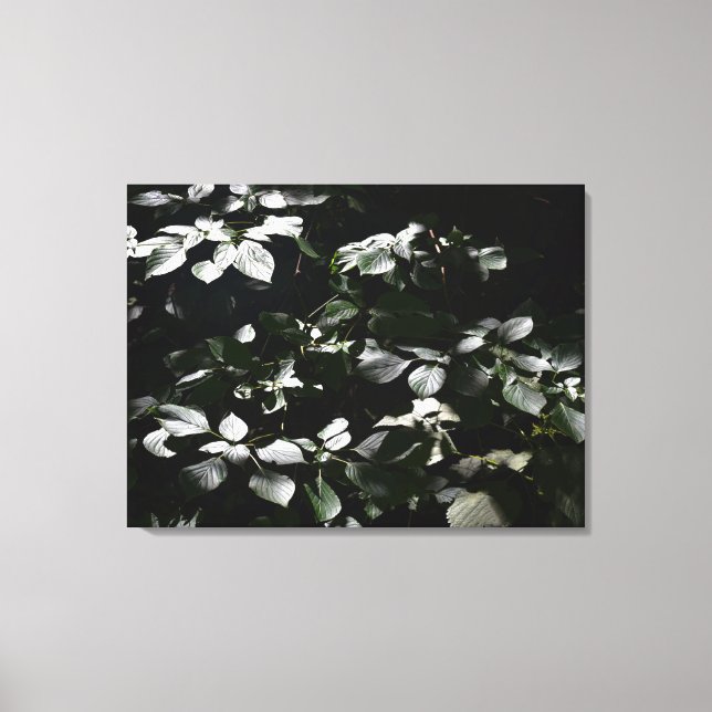 Impressão Em Tela Folhas Escuras (Frente)