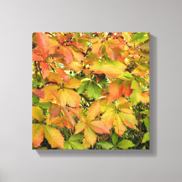 Impressão Em Tela Folhas selvagens da vinha do outono