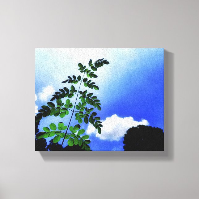 Impressão Em Tela Folhas verdes, céu e nuvens (Frente)