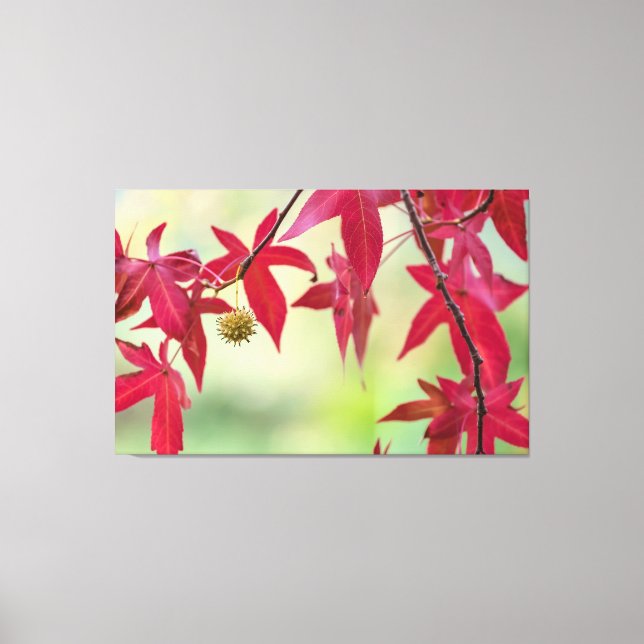 Impressão Em Tela Folhas Vermelhas (Frente)