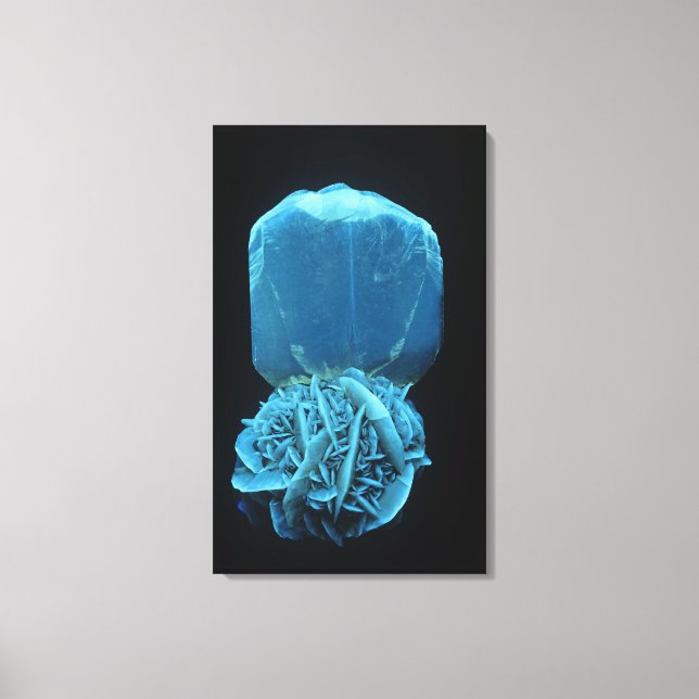 Impressão Em Tela Forma selenita de gesso, um feto mineral fluoresce (Frente)