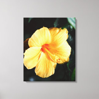 Impressão Em Tela Formato grande Imagem de Hibiscus Amarelo Laranja