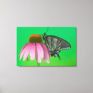 Impressão Em Tela Formulário preto do tigre oriental Swallowtail