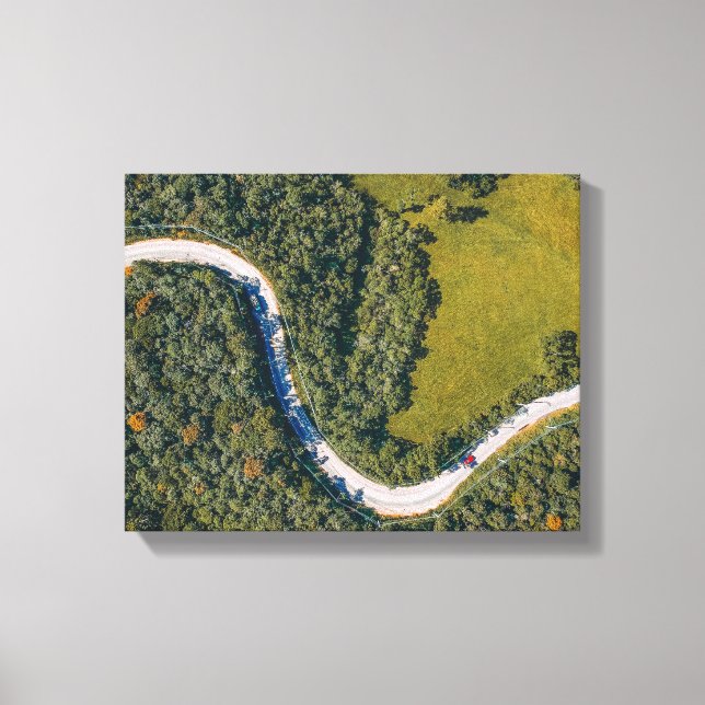 Impressão Em Tela foto aérea das árvores durante o dia (Frente)