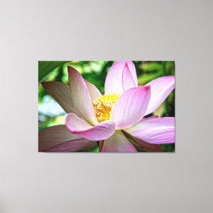 Impressão Em Tela Foto aproximada de uma flor de lótus