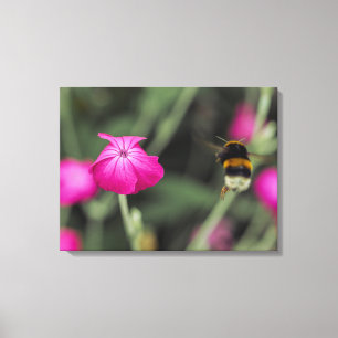 Impressão Em Tela Foto Botânica de Abelha Voando em Direção à Flor