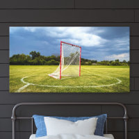Foto Colorida de Campo de Lacrosse com Gol