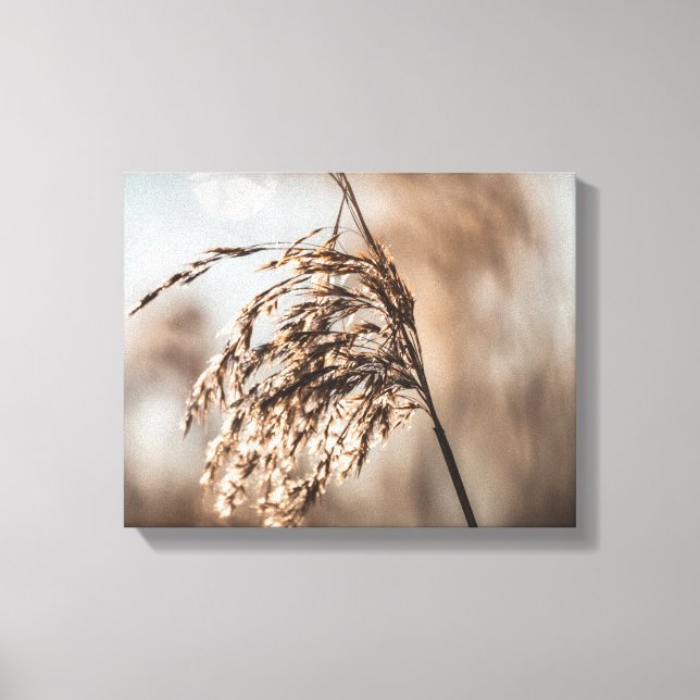 Impressão Em Tela Foto comum por natureza (Frente)