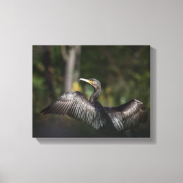 Impressão Em Tela Foto da natureza cormorante