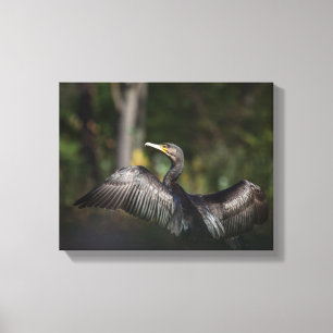 Impressão Em Tela Foto da natureza cormorante