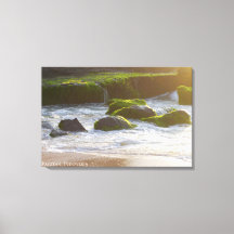Foto da Natureza da Paisagem da Praia de Algas do
