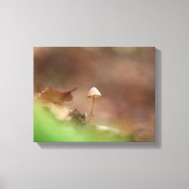 Impressão Em Tela Foto da natureza do cogumelo