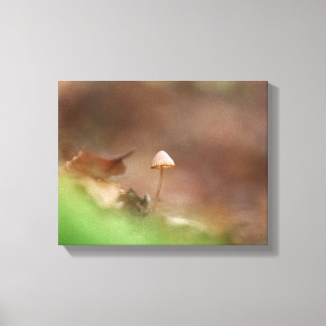 Impressão Em Tela Foto da natureza do cogumelo (Frente)