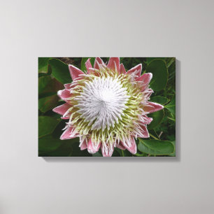 Impressão Em Tela Foto da Natureza do Flor Branco e Rosa Grande