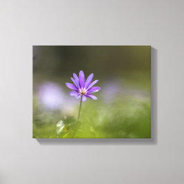 Impressão Em Tela Foto da natureza do girassol púrpura