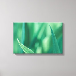 Impressão Em Tela Foto da Natureza Floral Verde