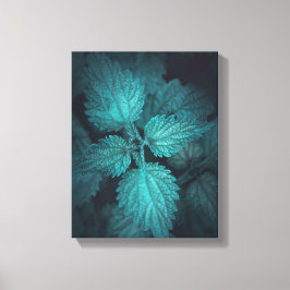 Impressão Em Tela Foto da natureza Nettle