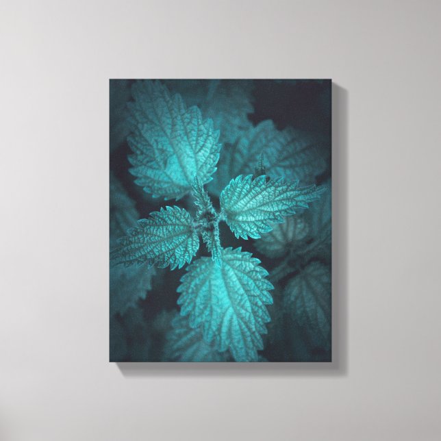 Impressão Em Tela Foto da natureza Nettle (Frente)