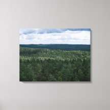 Foto da paisagem natural da floresta aérea e nuven
