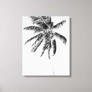 Impressão Em Tela Foto da palmeira branca e preta
