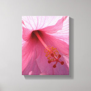 Impressão Em Tela Foto de Arte Refinado de Hibisco Rosa Havaiano