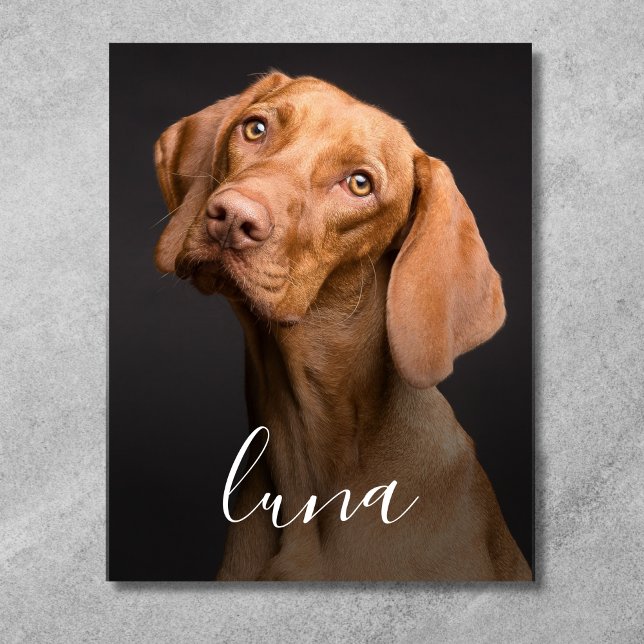 Impressão Em Tela Foto de cachorro personalizada com nome (Pet Photo Canvas)