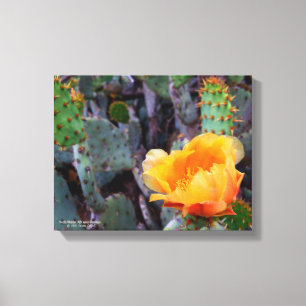 Impressão Em Tela Foto de flor de pera espinhosa de cor laranja