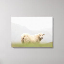 Impressão Em Tela Foto de natureza de ovelha