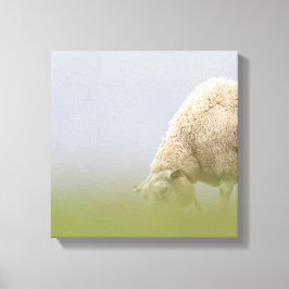 Impressão Em Tela Foto de Natureza Ovina Grazing