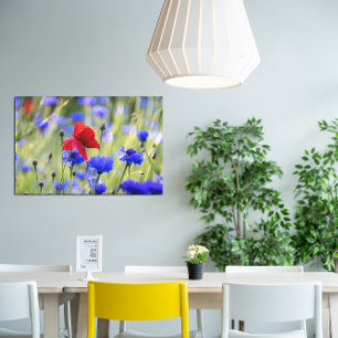 Impressão Em Tela foto de papoulas vermelhas silvestres