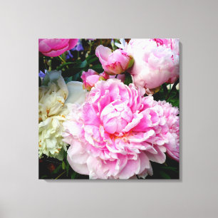 Impressão Em Tela Foto do jardim floral de peônias brancas-rosadas E