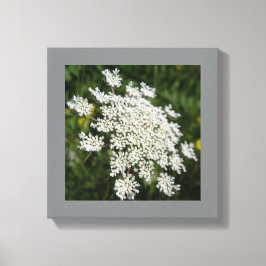 Impressão Em Tela Foto do local da Rainha Branca Ann de 12" x 12"