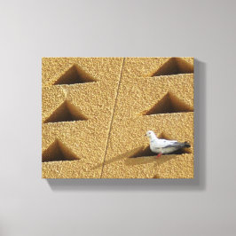 Impressão Em Tela Foto do Pombo