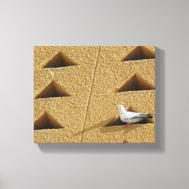 Impressão Em Tela Foto do Pombo (Frente)