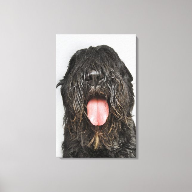 Impressão Em Tela Foto do Studio (Frente)