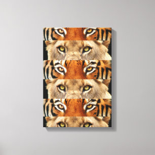 Impressão Em Tela Foto dos olhos do tigre e do leão