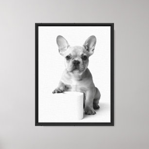 Impressão Em Tela Foto Engraçada de Bulldog Francês com Papel Higiên