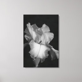 Impressão Em Tela Foto Floral de Íris Preto e Branco