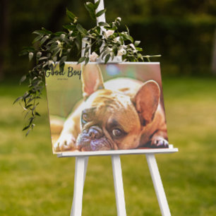 Impressão Em Tela Foto Pet Personalizada Datas Memorial Imagem Franc
