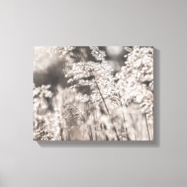 Impressão Em Tela Foto Reed Nature