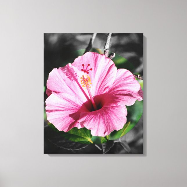 Impressão Em Tela Foto rosa de Hibiscus (Frente)