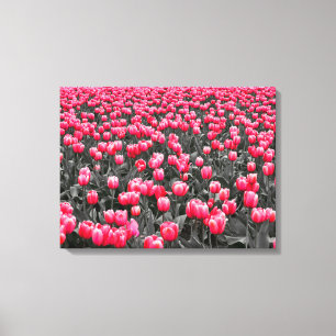 Impressão Em Tela Foto Seletiva de Cor Minimalista da Flor Rosa