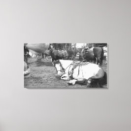 Impressão Em Tela Fotobômero Preto e Branco da Parede de Cavalos