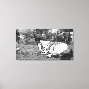 Impressão Em Tela Fotobômero Preto e Branco da Parede de Cavalos