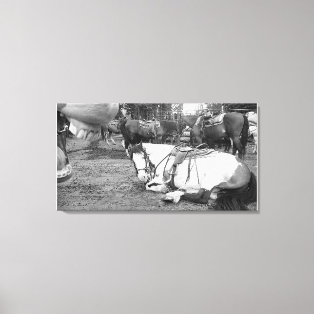 Impressão Em Tela Fotobômero Preto e Branco da Parede de Cavalos (Frente)