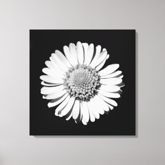 Impressão Em Tela Fotografia Botânica de Arte Floral Branca Negra (Frente)