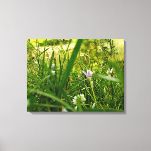 Impressão Em Tela Fotografia Botânica Floral Púrpura Flores