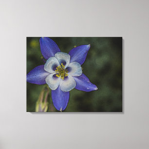 Impressão Em Tela Fotografia com aquarela florada arte decor